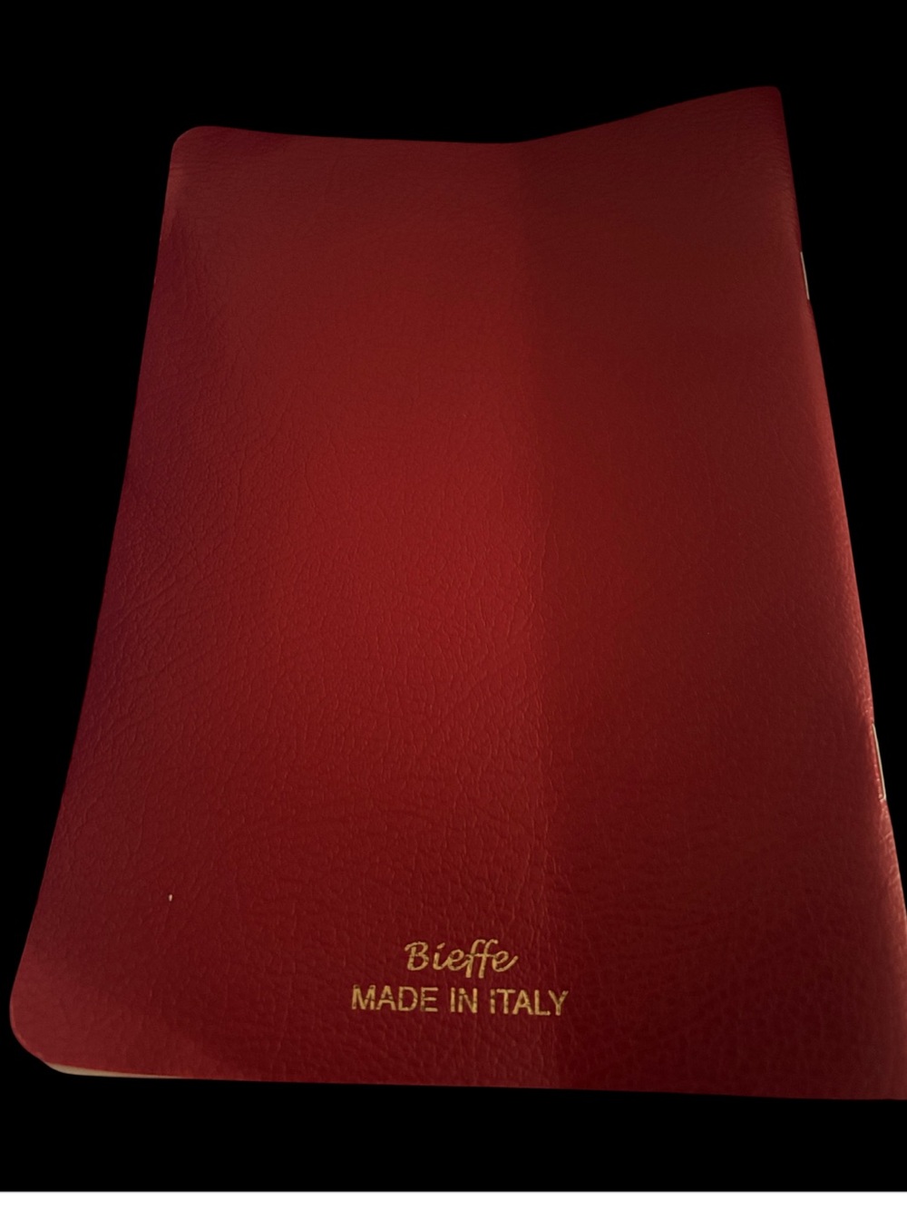Bieffe Made in Italy Burgundy Leather Notebook